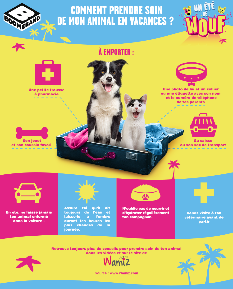 Infographie - Comment prendre soin de mon animal en vacances