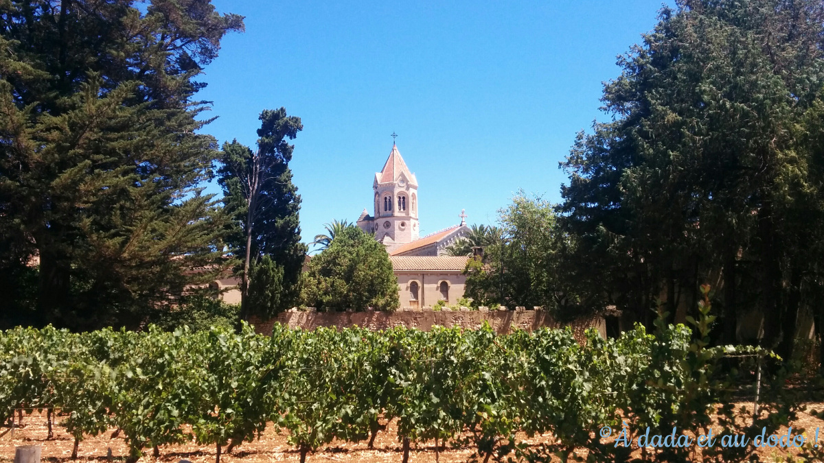 Abbaye Saint Honorat derrière les vignes